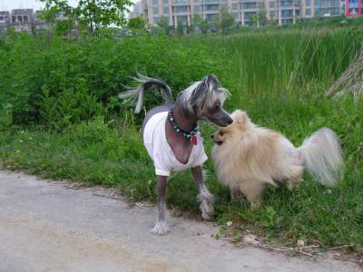 June7_04_369.JPG