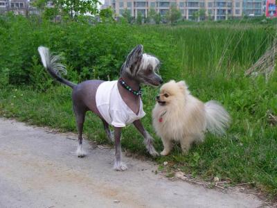June7_04_371.JPG