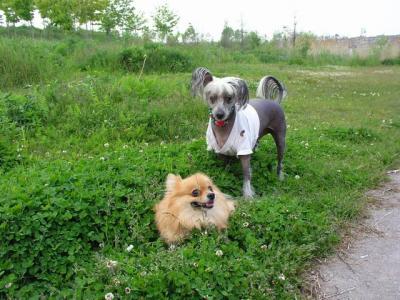 June7_04_377.JPG