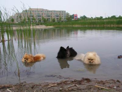 June7_04_384.JPG
