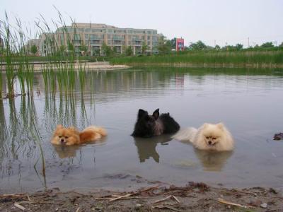 June7_04_385.JPG