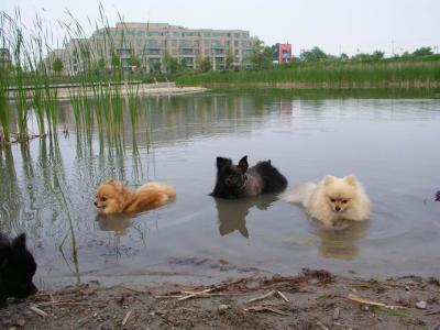 June7_04_386.JPG