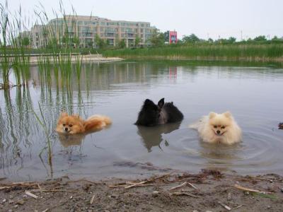 June7_04_387.JPG