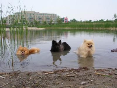 June7_04_389.JPG
