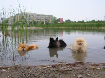 June7_04_390.JPG