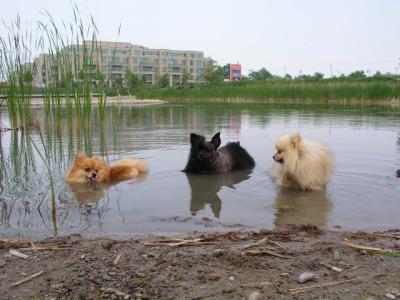 June7_04_391.JPG