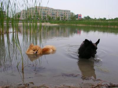 June7_04_392.JPG