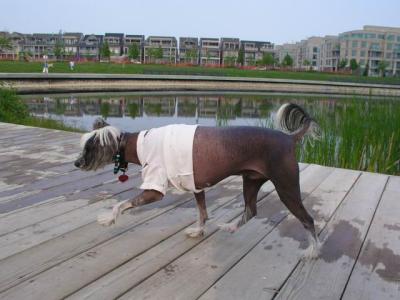 June7_04_395.JPG