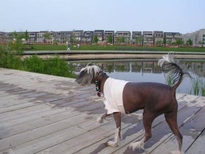 June7_04_396.JPG