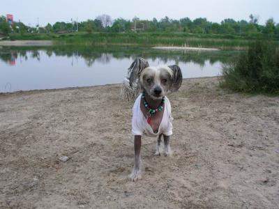 June7_04_398.JPG