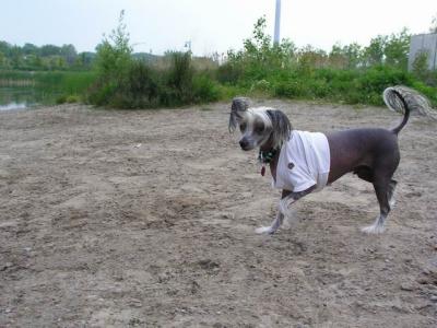 June7_04_401.JPG