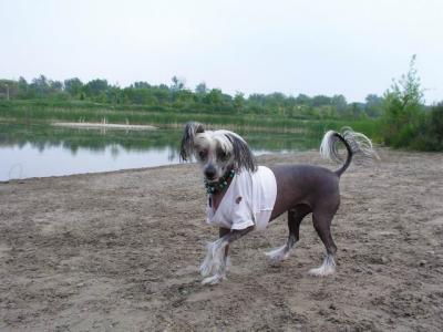 June7_04_403.JPG