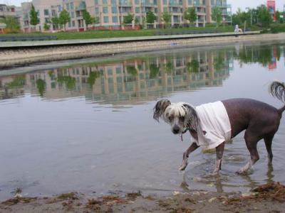 June7_04_406.JPG