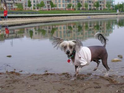 June7_04_407.JPG