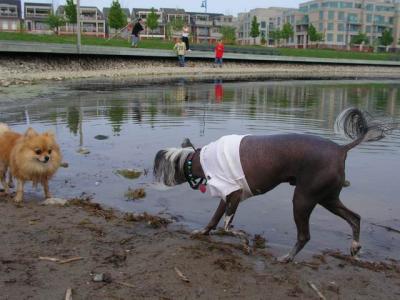 June7_04_409.JPG