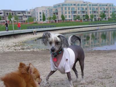 June7_04_425.JPG