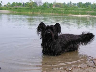 June7_04_436.JPG