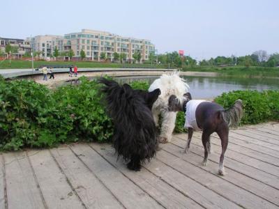 June7_04_443.JPG