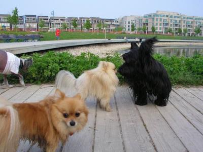 June7_04_446.JPG