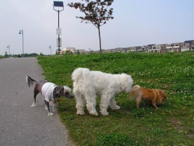 June7_04_447.JPG