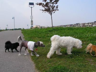 June7_04_448.JPG