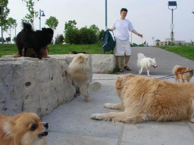 June7_04_458.JPG