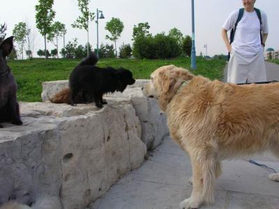 June7_04_459.JPG