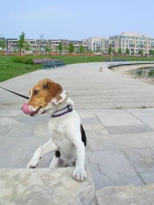 June7_04_488.JPG
