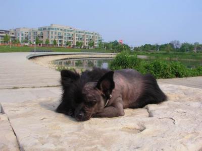 June7_04_496.JPG