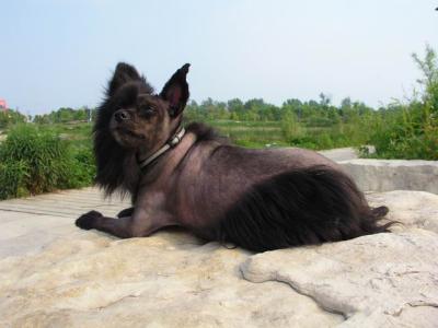 June7_04_508.JPG