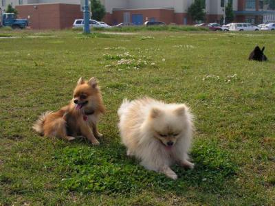 June7_04_538.JPG