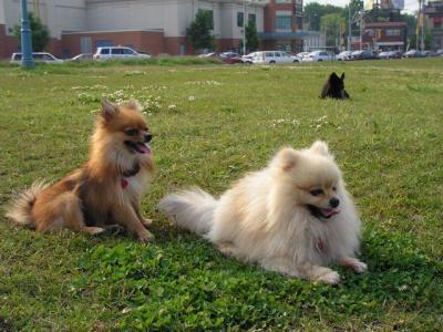 June7_04_539.JPG
