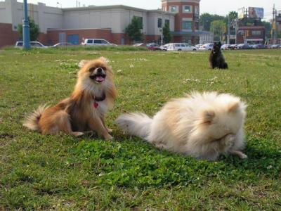 June7_04_542.JPG