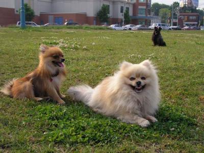 June7_04_548.JPG
