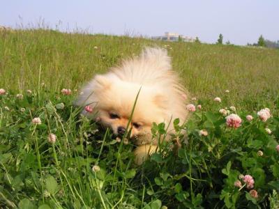 June7_04_566.JPG