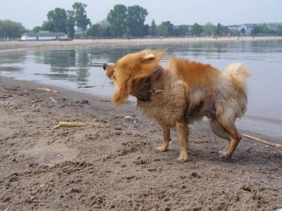 June7_04_587.JPG