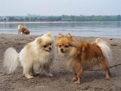 June7_04_588.JPG