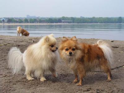 June7_04_589.JPG