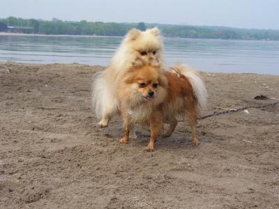 June7_04_592.JPG