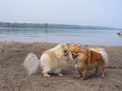 June7_04_593.JPG