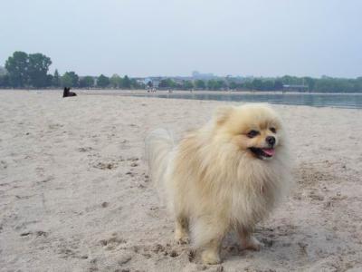June7_04_602.JPG