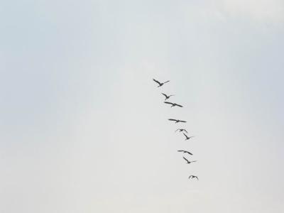 June7_04_604.JPG
