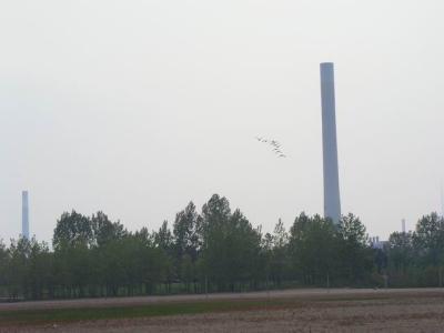 June7_04_607.JPG