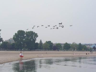 June7_04_610.JPG