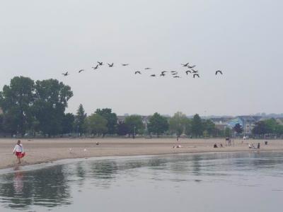 June7_04_611.JPG
