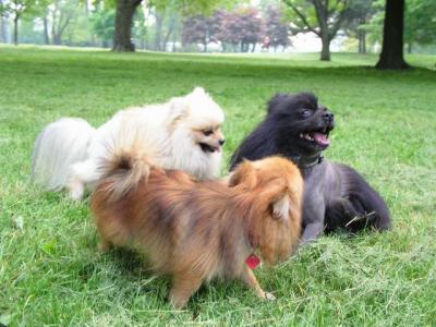 June7_04_668.JPG