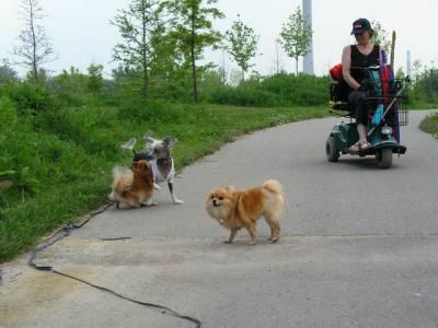 June7_04_676.JPG