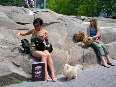 June 8/04 at High Park with Biscuit (temp)