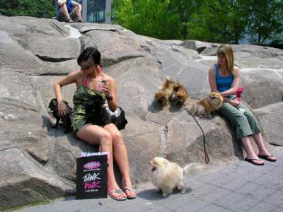 June8_04_002.JPG