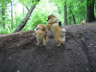 June8_04_039.JPG